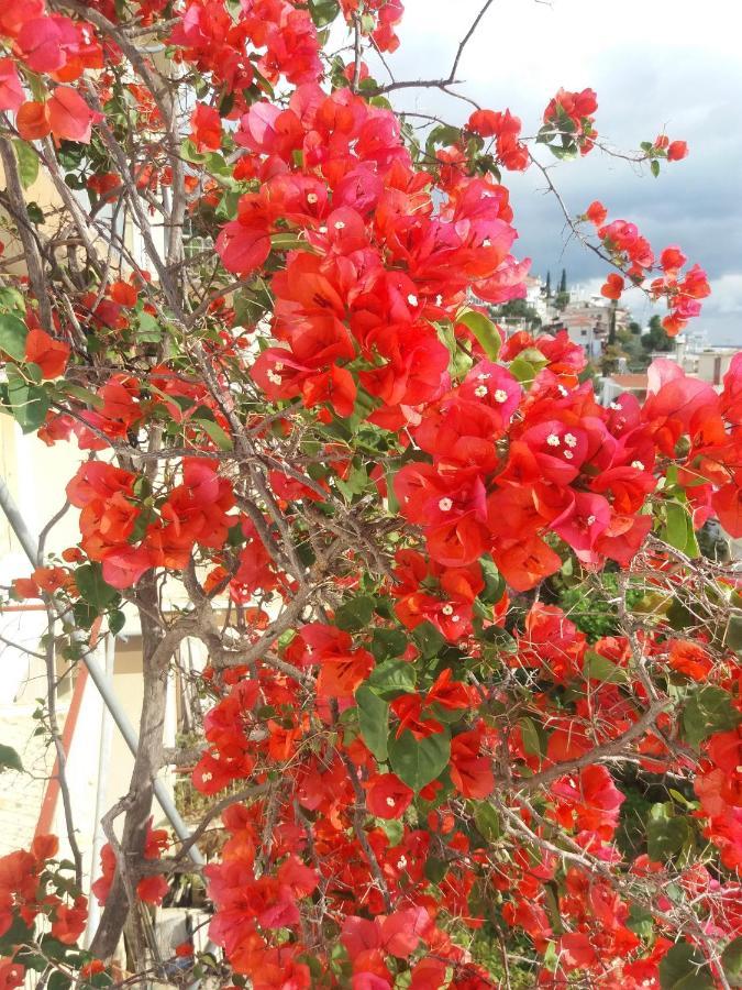 Apartment In Poros Poros Town エクステリア 写真