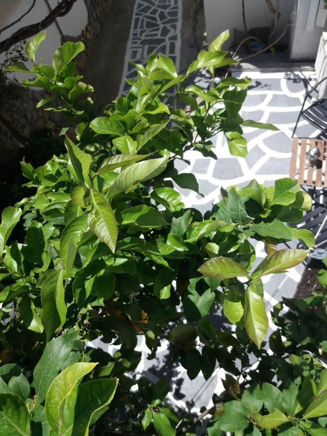 Apartment In Poros Poros Town エクステリア 写真